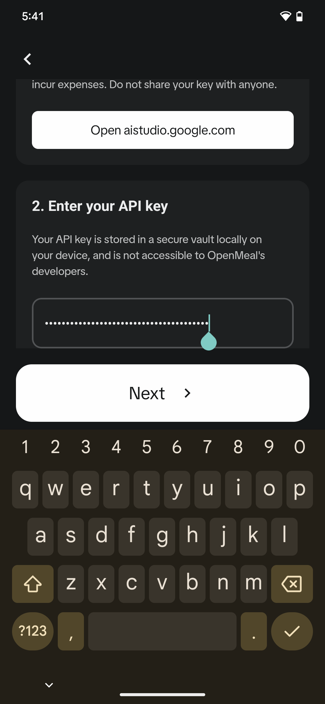 API key entrance screen with API key entered